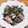 ☆魔矢☆'s cooksnap of when they made 紅菜苔と言えばやっぱり中華炒め!.