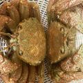 マロンのおかん's cooksnap of when they made 毛ガニの茹で方.