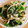 クック4TMZSX☆'s cooksnap of when they made ほうれん草ともやしの胡麻和え.