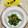 しーくれっと・らいふ's cooksnap of when they made ☆ほうれん草と小エビごま油炒め☆.