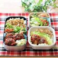 runa10's cooksnap of when they made きんぴらごぼう　.