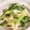 ラテ柴's cooksnap of when they made *お母さん直伝！ネギのぬた和え*.
