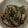 msk0530's cooksnap of when they made たっぷりキノコとこんにゃくの甘辛煮.