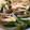 ぶす丸's cooksnap of when they made ニラともやしの中華スープ.