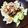 rik_piyo's cooksnap of when they made ☆★沖縄もずくとツナ、玉ねぎのサラダ★☆.