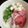 ぐりtoぐら's cooksnap of when they made まぐろの山かけ丼.