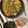 ぐりtoぐら's cooksnap of when they made 簡単！大根の ゆかり和え.