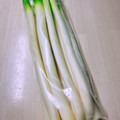 のんべぇヒロ's cooksnap of when they made 新鮮長持ち♡長葱と小葱の長期保存.