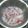 ゆうかりおん's cooksnap of when they made ひいかの醤油漬け＆下処理.