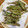 hadukisann's cooksnap of when they made 冷凍シシャモで磯辺揚.