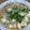 や～たん食堂's cooksnap of when they made 生姜香る☆白麻婆豆腐.