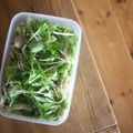 みるく茶's cooksnap of when they made 水菜とえのき茸のナムル.