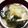 ダリア☆'s cooksnap of when they made たっぷり白菜の味噌汁.