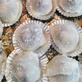 ととろ＆めい's cooksnap of when they made 簡単・いちご大福♪.
