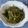 nicamom's cooksnap of when they made 簡単！根昆布旨煮.