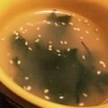ひぃたろぉ～♪'s cooksnap of when they made マグカップで☆ダシダスープ.