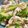 クックK3DI0Y's cooksnap of when they made 新玉ねぎとセロリの梅ダレサラダ.