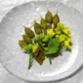 cp1064's cooksnap of when they made ネギ坊主ショウガ醬油焼き.