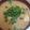 precious☆'s cooksnap of when they made ☆簡単☆豆腐となすの味噌汁.