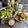 ebipeco's cooksnap of when they made ＊むね肉で！やわらかカレーから揚げ＊.