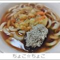 ちょこ☆ちょこ's cooksnap of when they made かき揚げうどん.