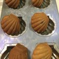 TeaMuffin's cooksnap of when they made 簡単リッチ♪焦がしバターのマドレーヌ.