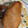 ネエロ's cooksnap of when they made さわらの生姜風味つけ焼き.
