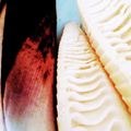 口福さん♪'s cooksnap of when they made タケノコの超簡単な下処理です（＾＾）.
