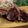 ミルミルNZ's cooksnap of when they made 本場のラム肉のステーキ　バルサミコソース.