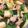 クック5MB2ER☆'s cooksnap of when they made 和食の定番☆小松菜と油揚げの煮びたし.