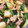 クック5MB2ER☆'s cooksnap of when they made 和食の定番☆小松菜と油揚げの煮びたし.