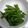 ritany's cooksnap of when they made スナップエンドウの塩昆布和え.