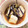 yjlunasun's cooksnap of when they made わらびと厚揚げの煮物.