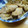 エスとし's cooksnap of when they made 我が家の柔らか＆ちょっと甘め生姜焼き.