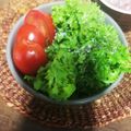 ふか谷's cooksnap of when they made わさび菜のシンプルサラダ.