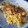 きらり流れ星's cooksnap of when they made ウナギと胡瓜のちらし寿司(うざく寿司）.