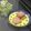 からあげパーティー's cooksnap of when they made サクサク香ばしい全粒粉♡胡麻クッキー.