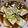 クックVY1GFZ☆'s cooksnap of when they made 片手で豆腐としめじのあんかけ煮彡.