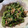 ブラック＊スワン's cooksnap of when they made めんつゆで簡単！タラの芽のおひたし.