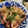 風花。。's cooksnap of when they made 里芋とイカの煮物.