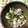 おはなすき's cooksnap of when they made カブとおかかのゆかり和え.