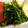 vivianj's cooksnap of when they made のらぼう菜のからしあえ.