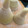 sayogon's cooksnap of when they made 簡単タケノコ下ごしらえ(アク抜き&保存).
