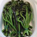あずきまめっち's cooksnap of when they made 重曹不要簡単★わらびの灰汁抜き★（覚書）.