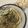papikun's cooksnap of when they made 福岡のゴボ天うどん（ごぼう天）.