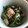 プーさんのクッキー's cooksnap of when they made ピーマンとツナ缶の和えもの.
