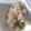 naocolin's cooksnap of when they made 簡単♪おいしい！フキの白だし煮.