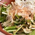 キュキュットさん's cooksnap of when they made 新玉ねぎと水菜、大葉のさっぱりサラダ.