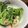bb☆'s cooksnap of when they made 塩こんぶで梅マヨブロッコリー☆.