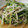 クック6DDPP8☆'s cooksnap of when they made 節約過ぎる❣❣もやしと豆苗のピリ旨炒め.